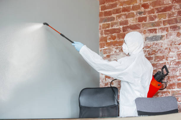 Best Asbestos and Lead Testing During Mold Inspection  in Bedford, OH