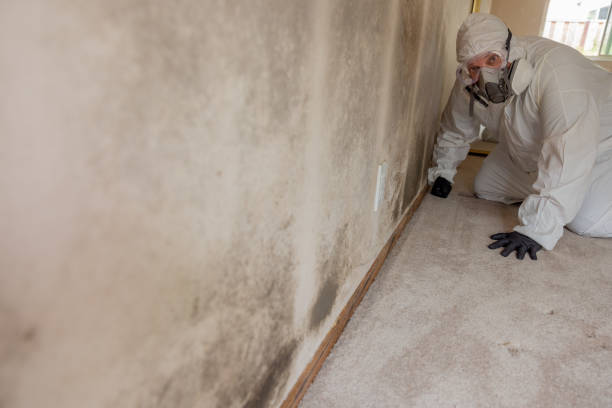 Best Post-Remediation Verification Testing  in Bedford, OH