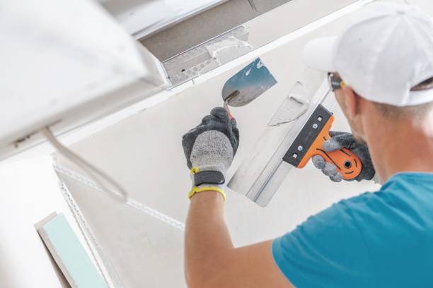 Best Mold-Related Health Consultation  in Bedford, OH